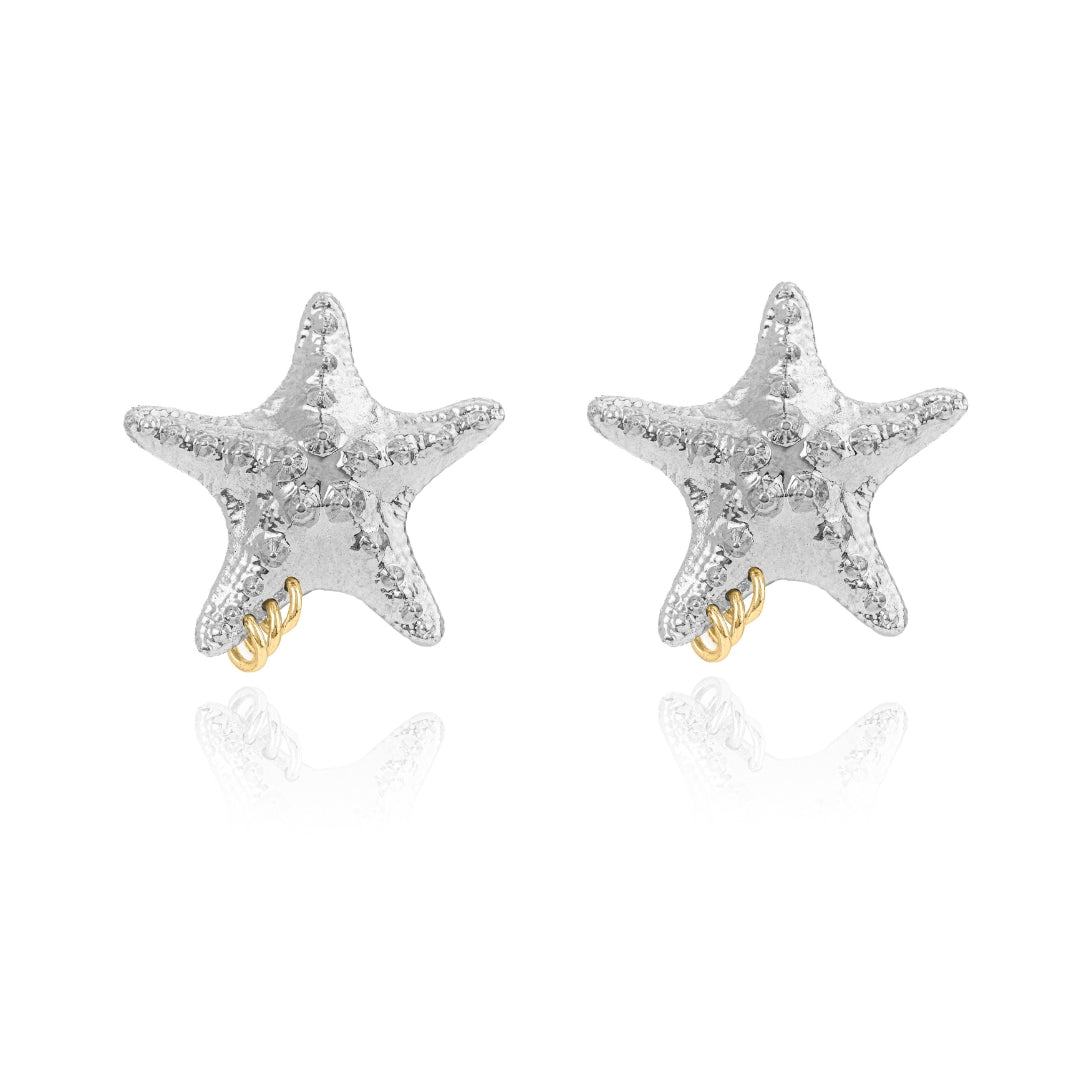 2 PIERCED STARFISH EARRINGS SILVER - AIRHESS