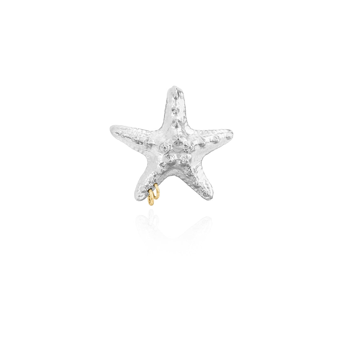 PIERCED STARFISH EARCUFF SILVER - AIRHESS