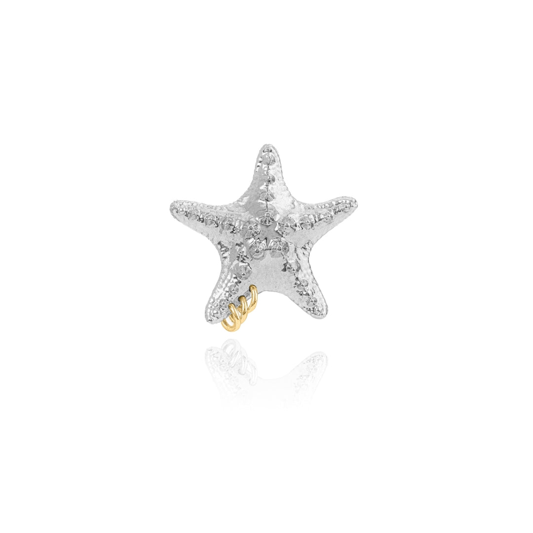 PIERCED STARFISH EARRING SILVER - AIRHESS