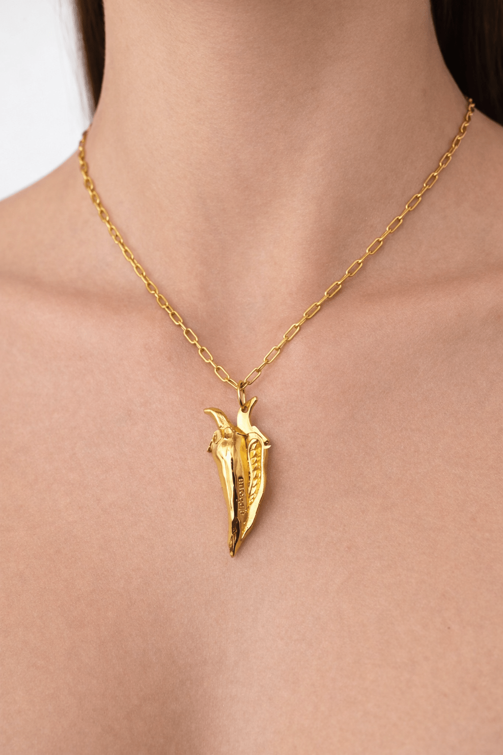 SPICY LACE GOLD - AIRHESS